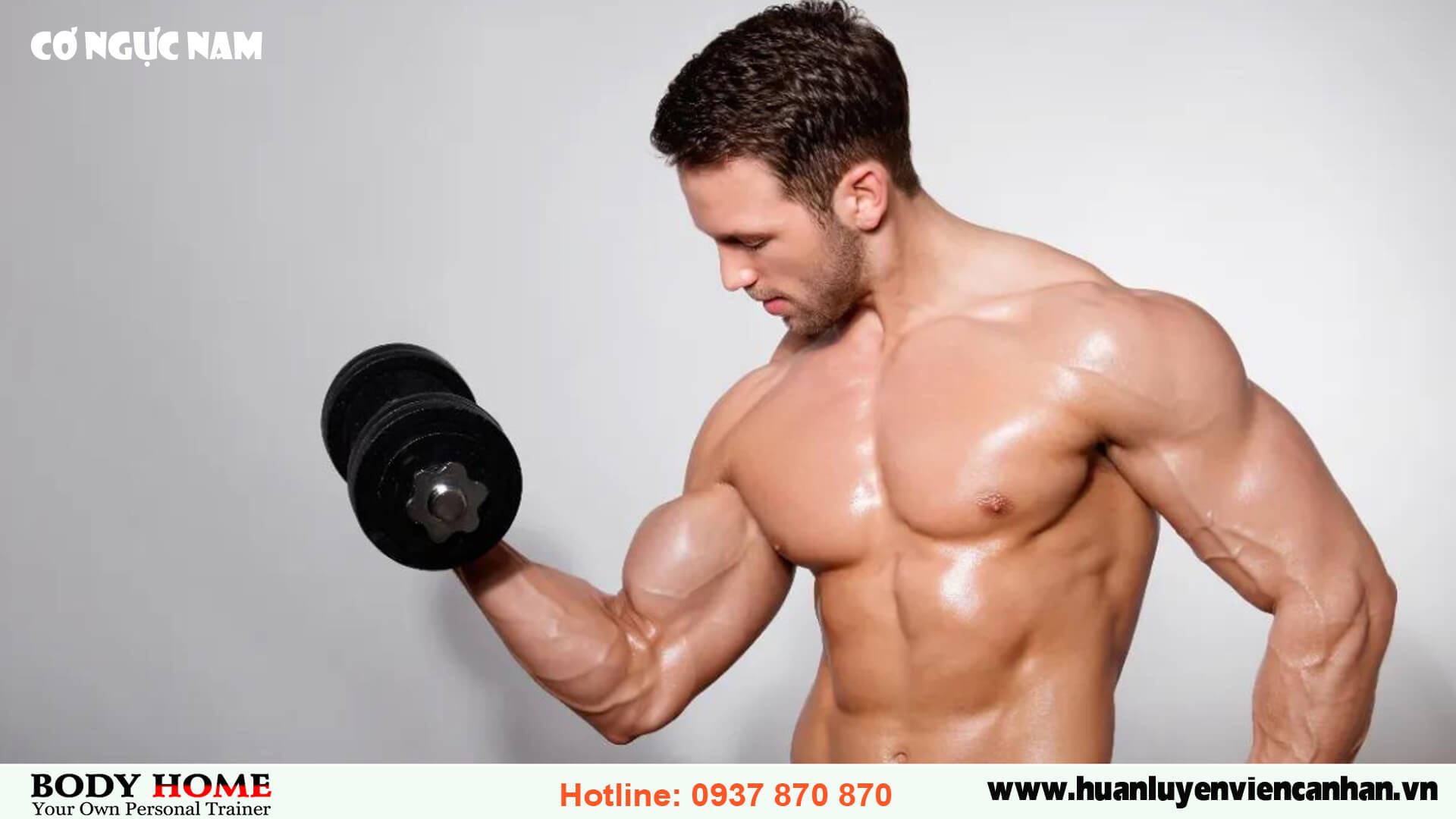 Cơ ngực nam