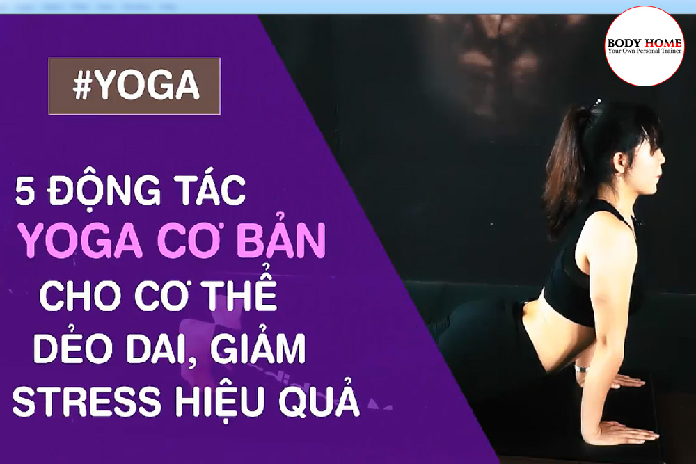 Những bài tập yoga giúp giảm stress, dẻo dai, săn chắc